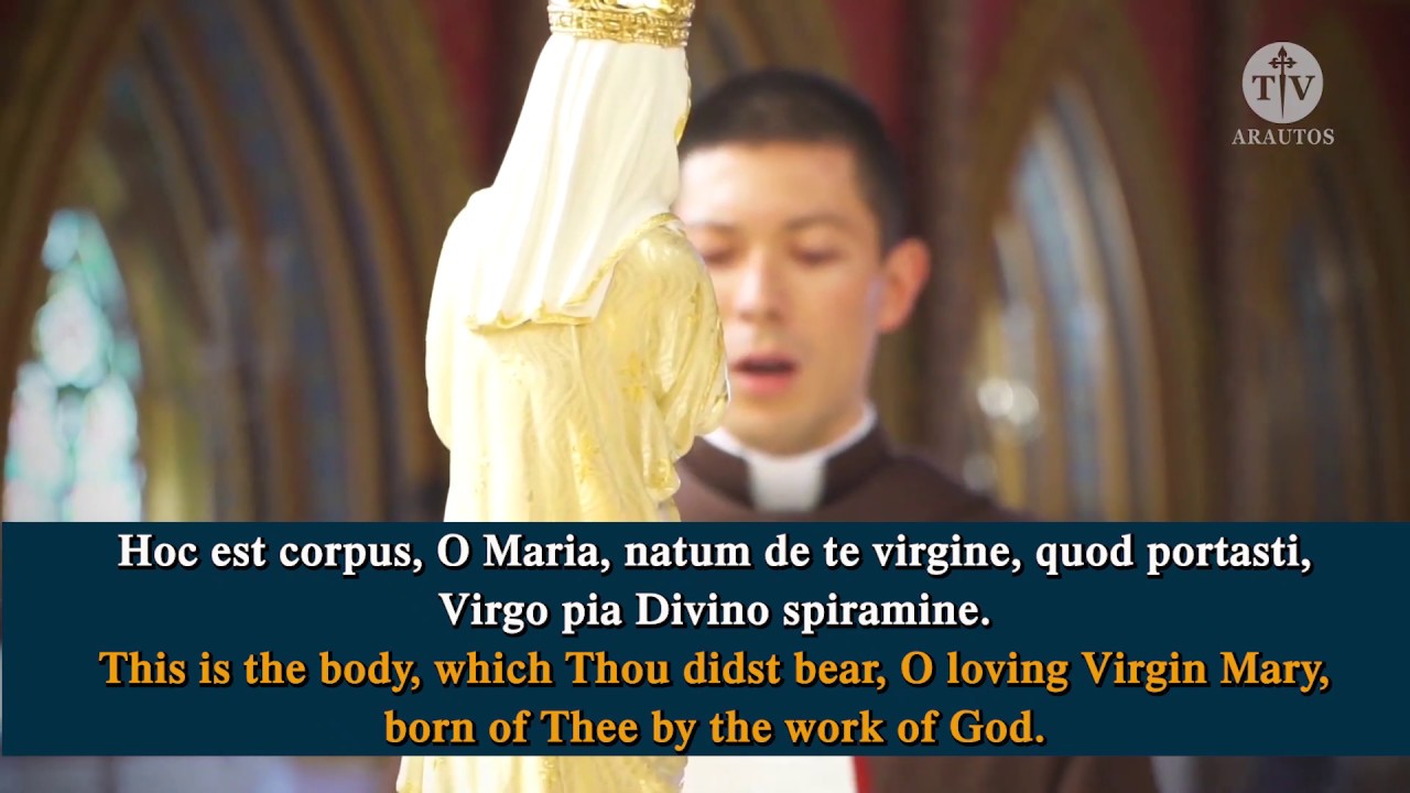 Splendours of Mary - 