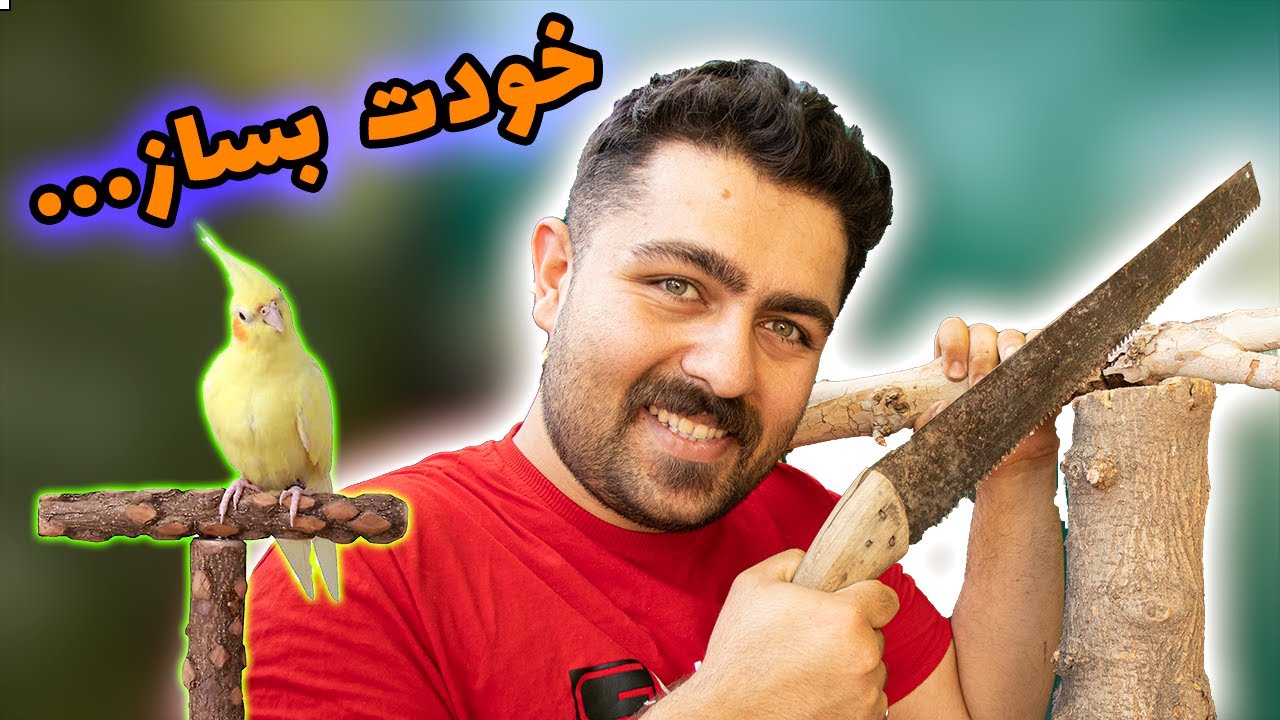 ساخت استند و چوب نشیمن طبیعی برای طوطی ها || DIY How to build natural  T-Stand for parrots