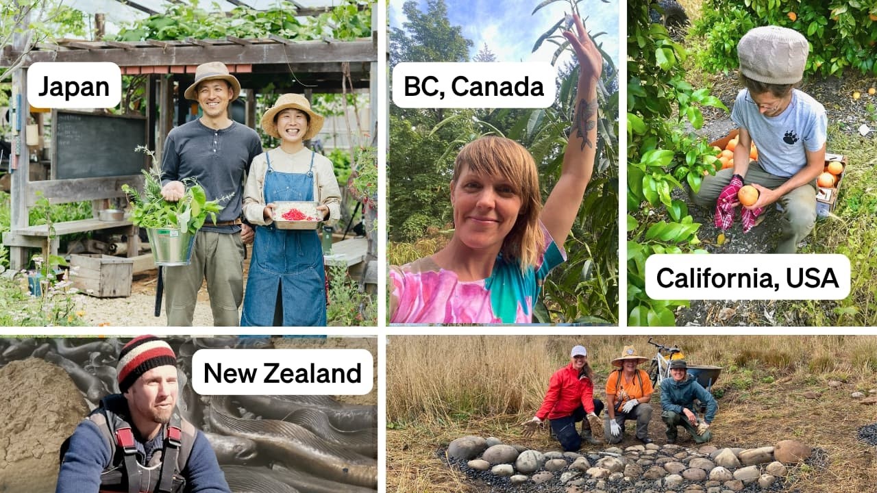 These People Are Rewriting the Future of Water - changing their Lives and Landscapes in the process