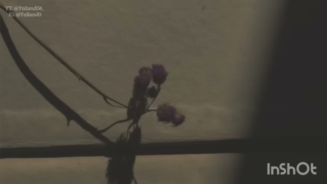 كايروكي ليه سكت ليه