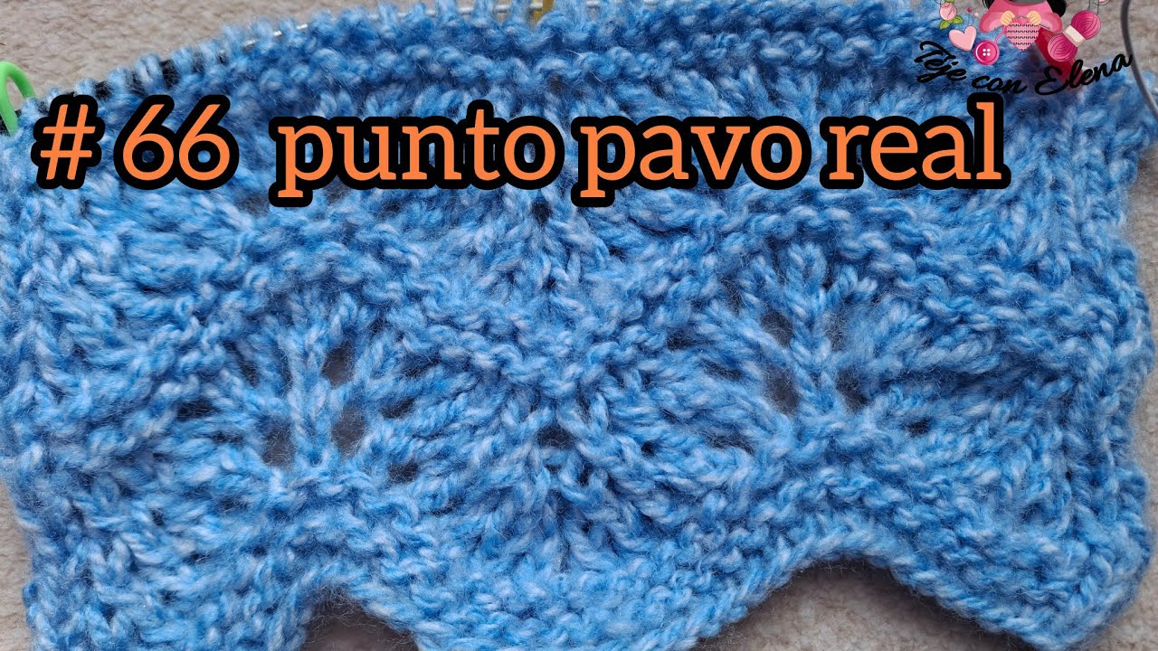 # 66 punto pavo real a dos agujas 