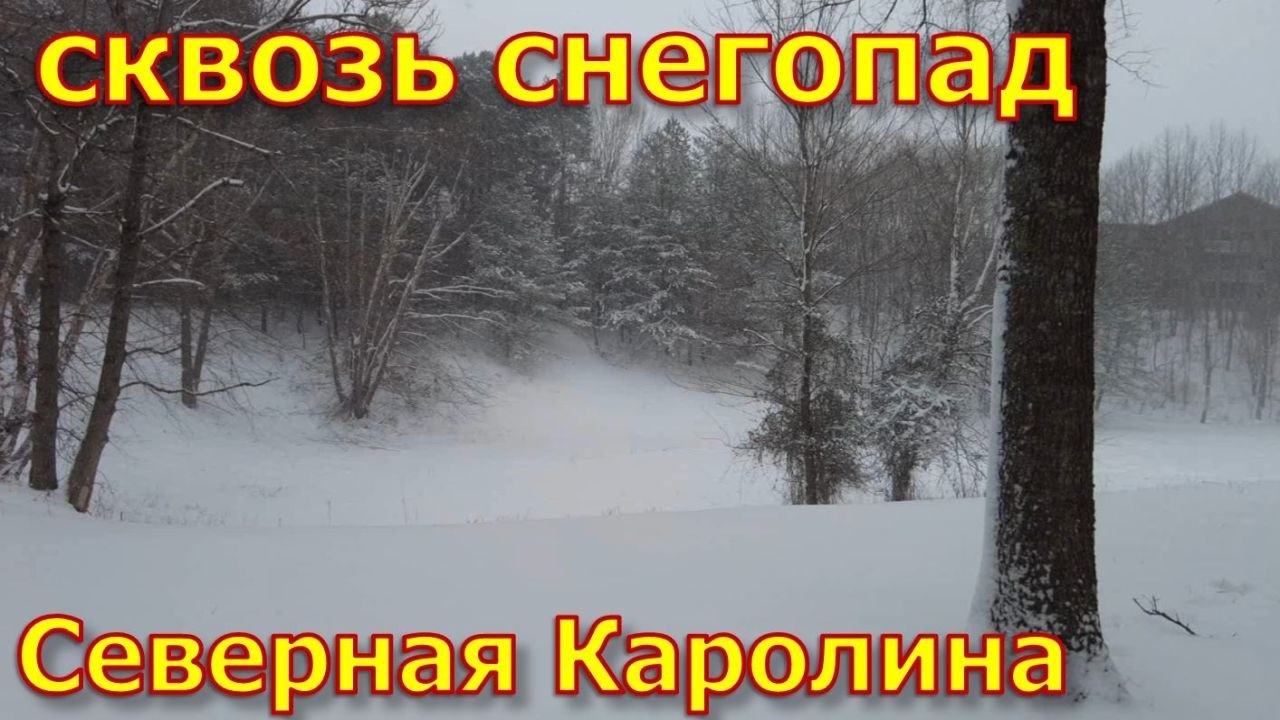 Снегопад в Северной Каролине. Иду на почту. Все завалило
