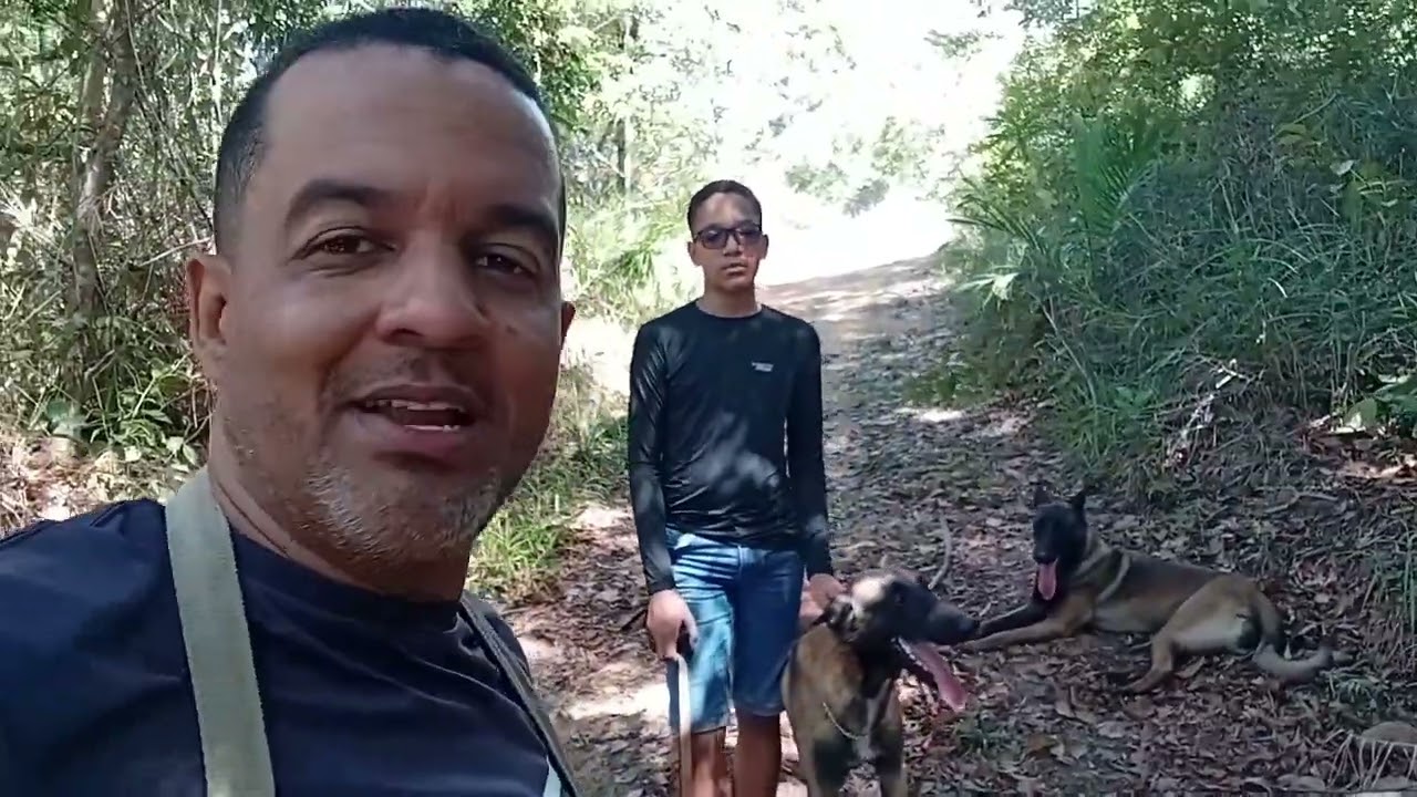 Canil em Casa: Essencial para Cães de guarda?