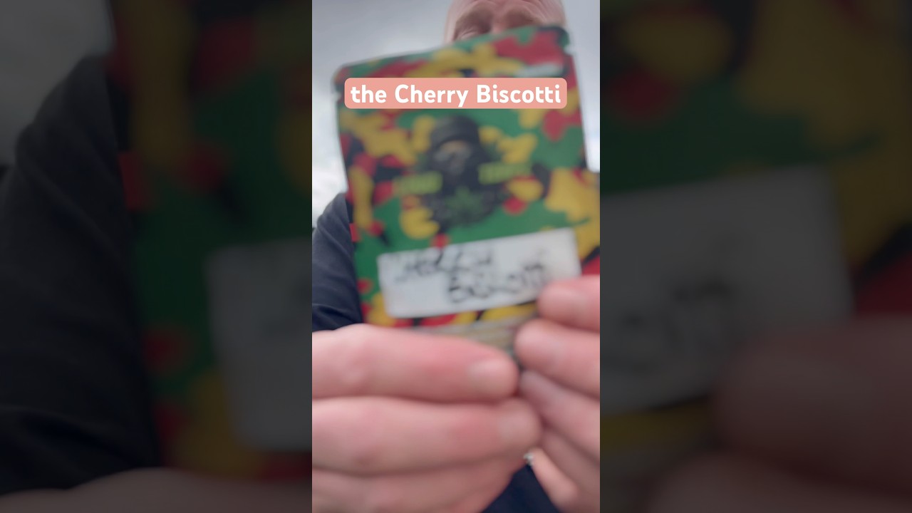 🥦🇬🇧CHERRY BISCOTTI by LOUD TERPZ  (review)  #cherry #biscotti #loud #fire #birthdaygift