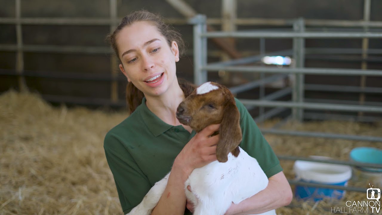 Some sad news - Cannon Hall Farm