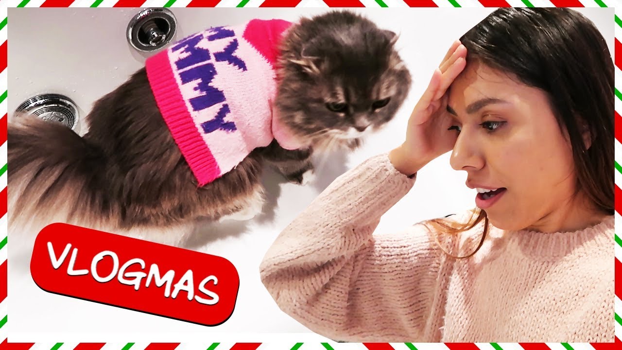 WHAT DID SHE DO!? - Vlogmas Day 12