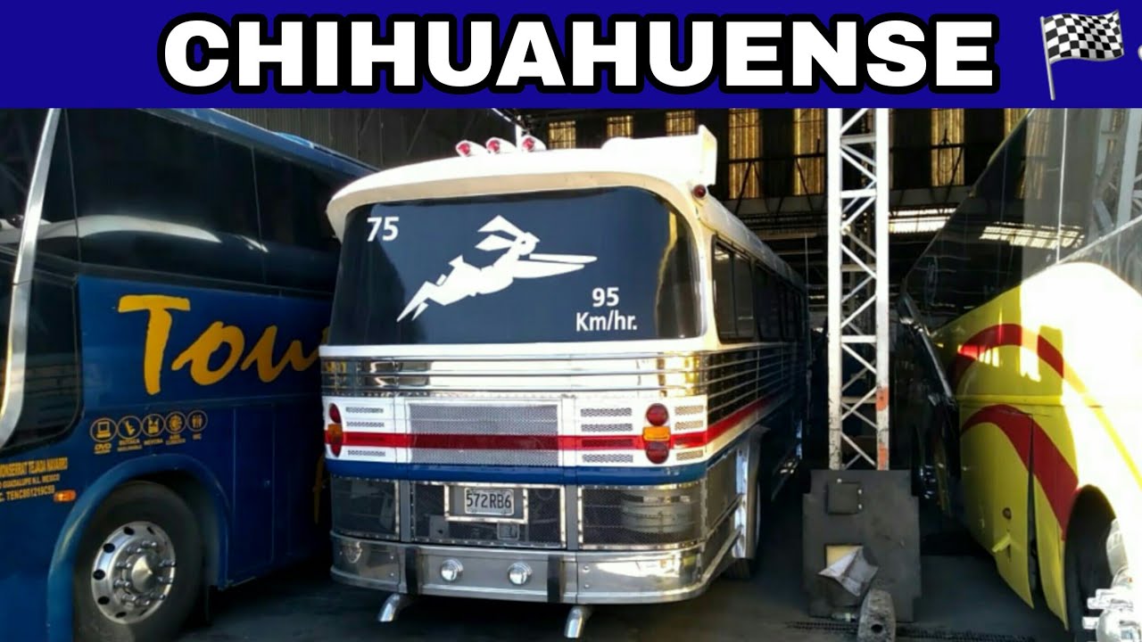 DINA CHIHUAHUENSE 🏁🐇 En el Lodazal