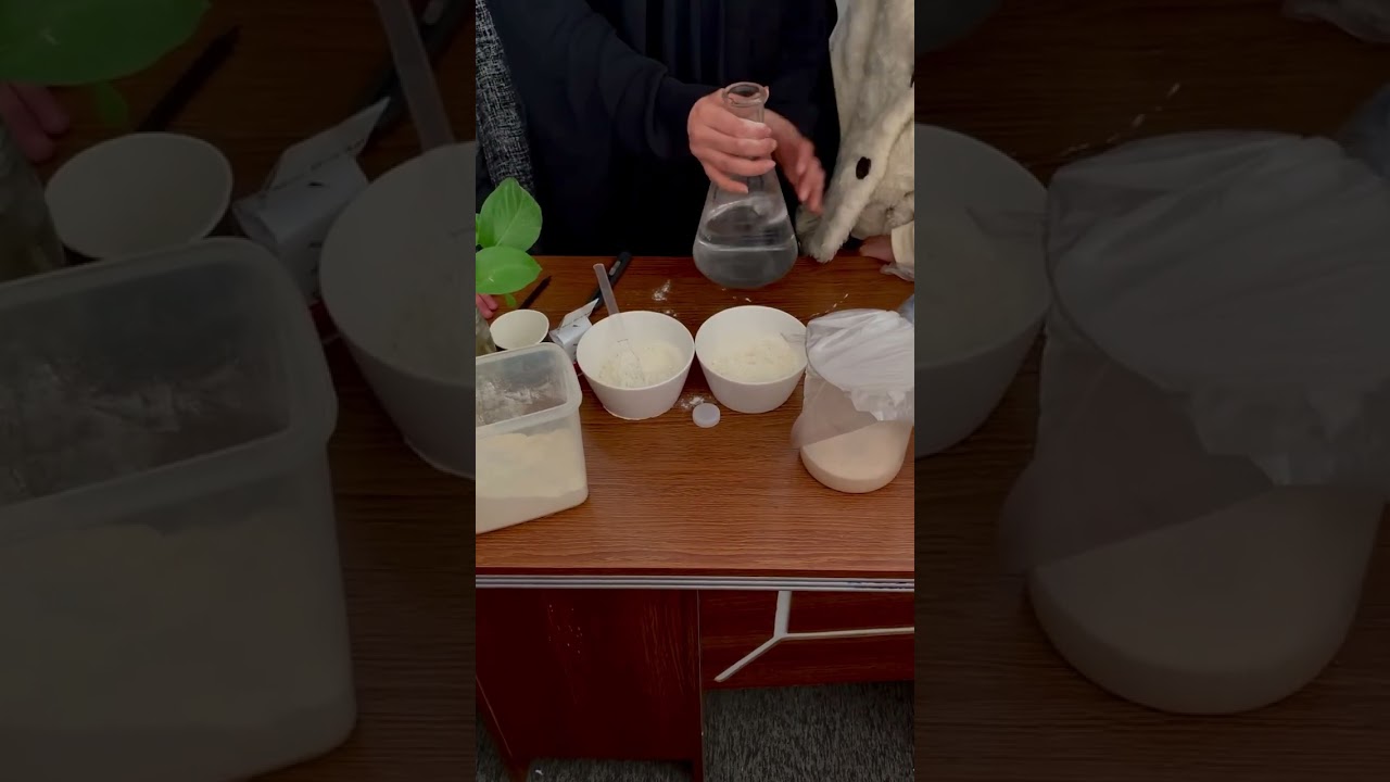 الإنزيمات enzymes  / دور الخميرة في عملية صنع العجين /احياء الاول متوسط 