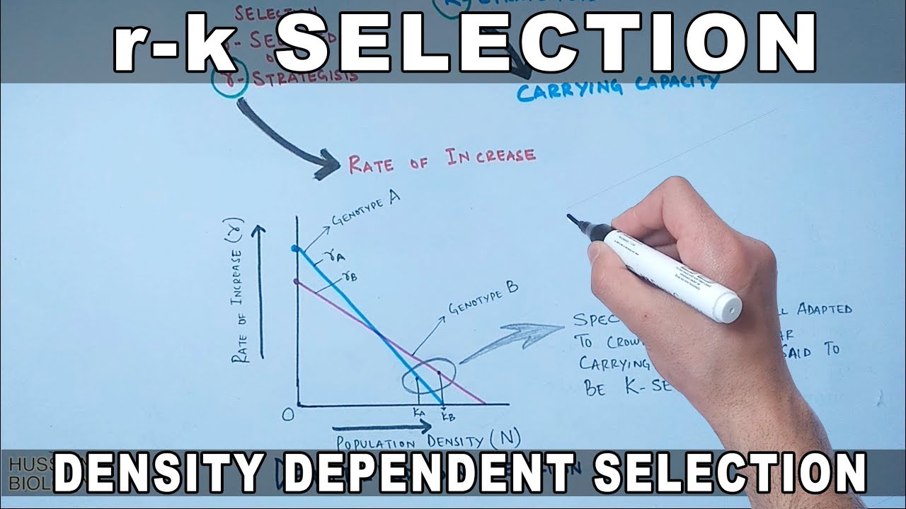 r-k Selection | Density Dependent Selection