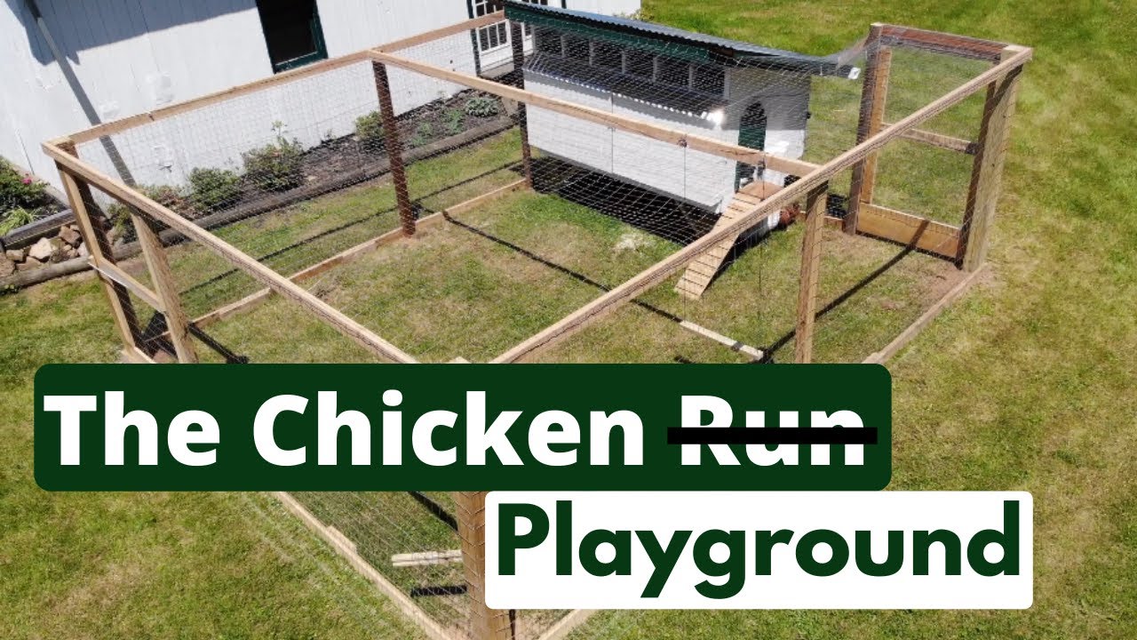 Chicken Run Build | RECYCLED WOOD & PREDATOR-PROOF!