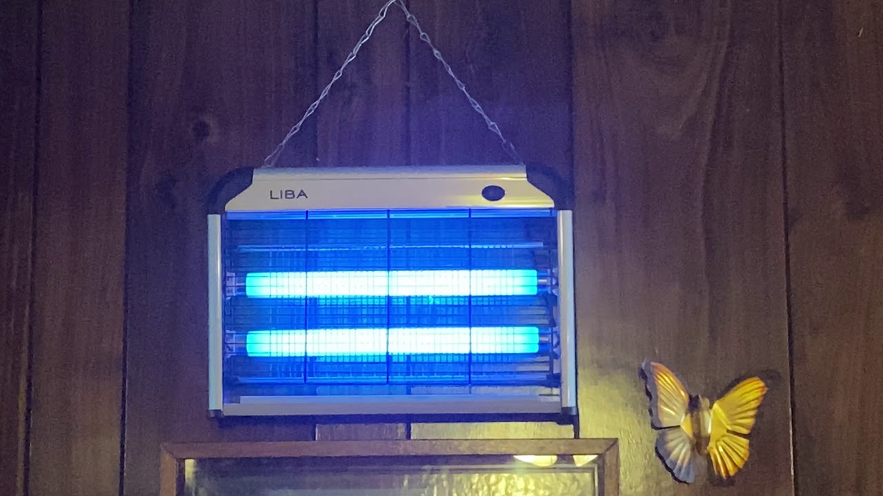 Kitchen fly trap