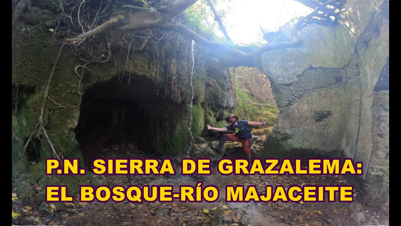 Nuevo sendero del río Majaceite del Bosque a Benamahoma y molino del Susto