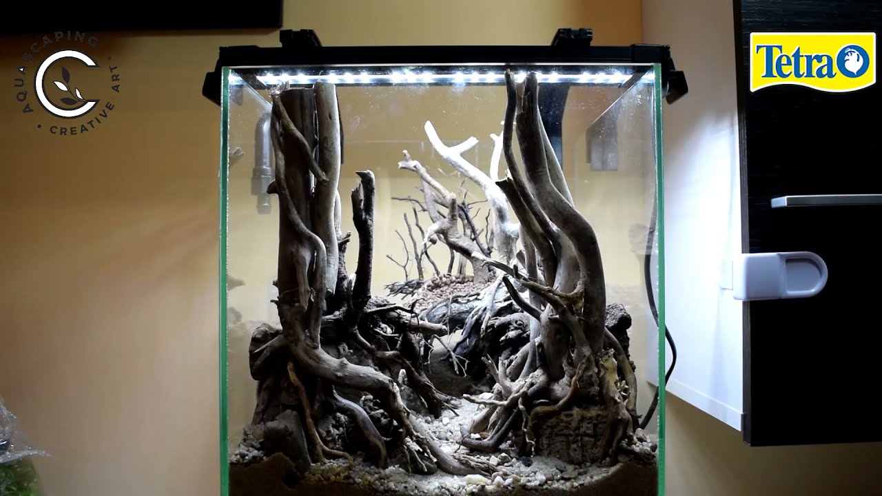 New Nano Tank Setup - 