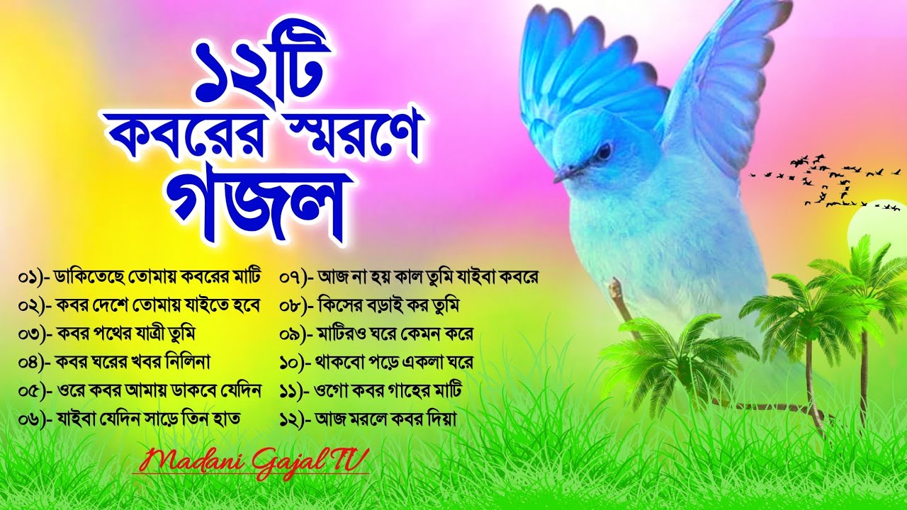 ১২টি আপনার পছন্দের কবরকে স্মরণ করানো গজল | Your Favourite Very Emotional Gojol | Madani Gajal TV