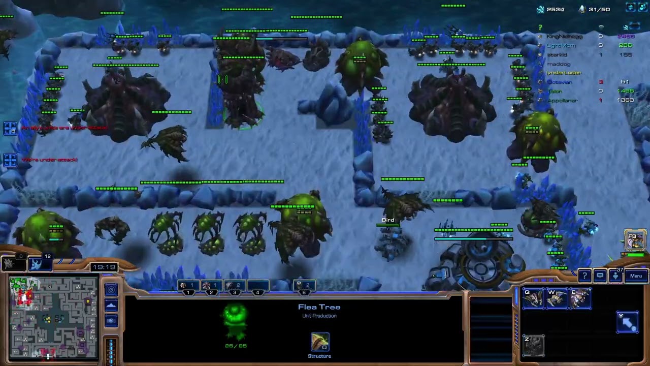 [Starcraft 2 Arcade] Cats n Critters: Flea Solo Carry