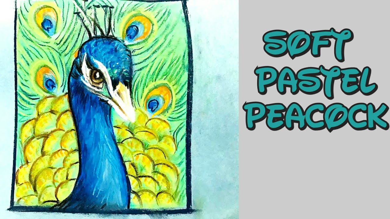 Soft Pastel Peacock-Step by Step