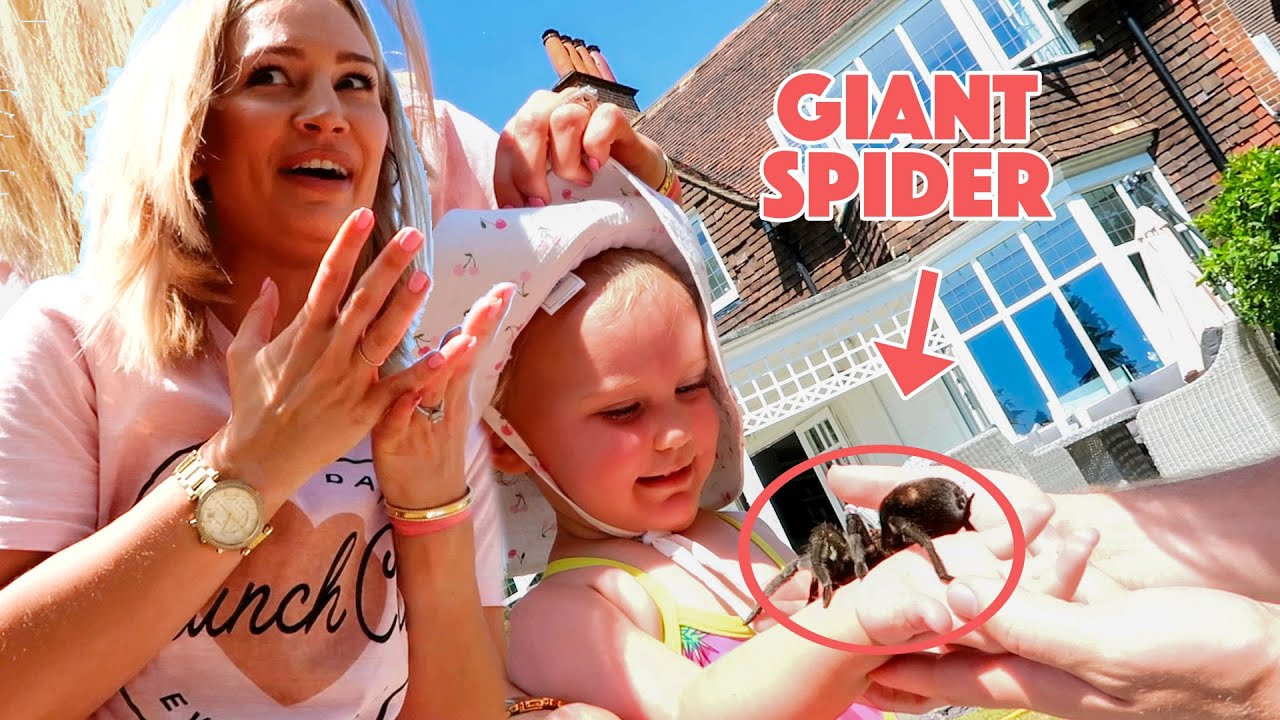 BABY FINDS GIANT SPIDER IN THE GARDEN!!