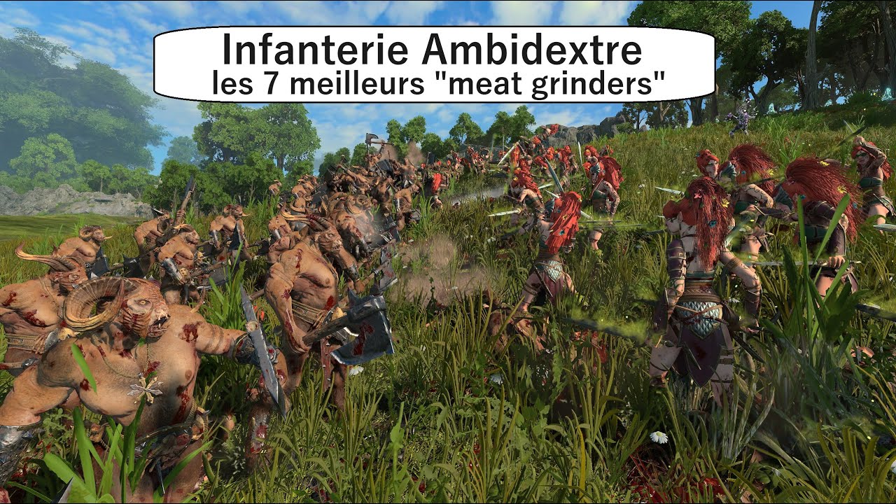 Une arme dans chaque main : les 7 meilleures unités en campagne