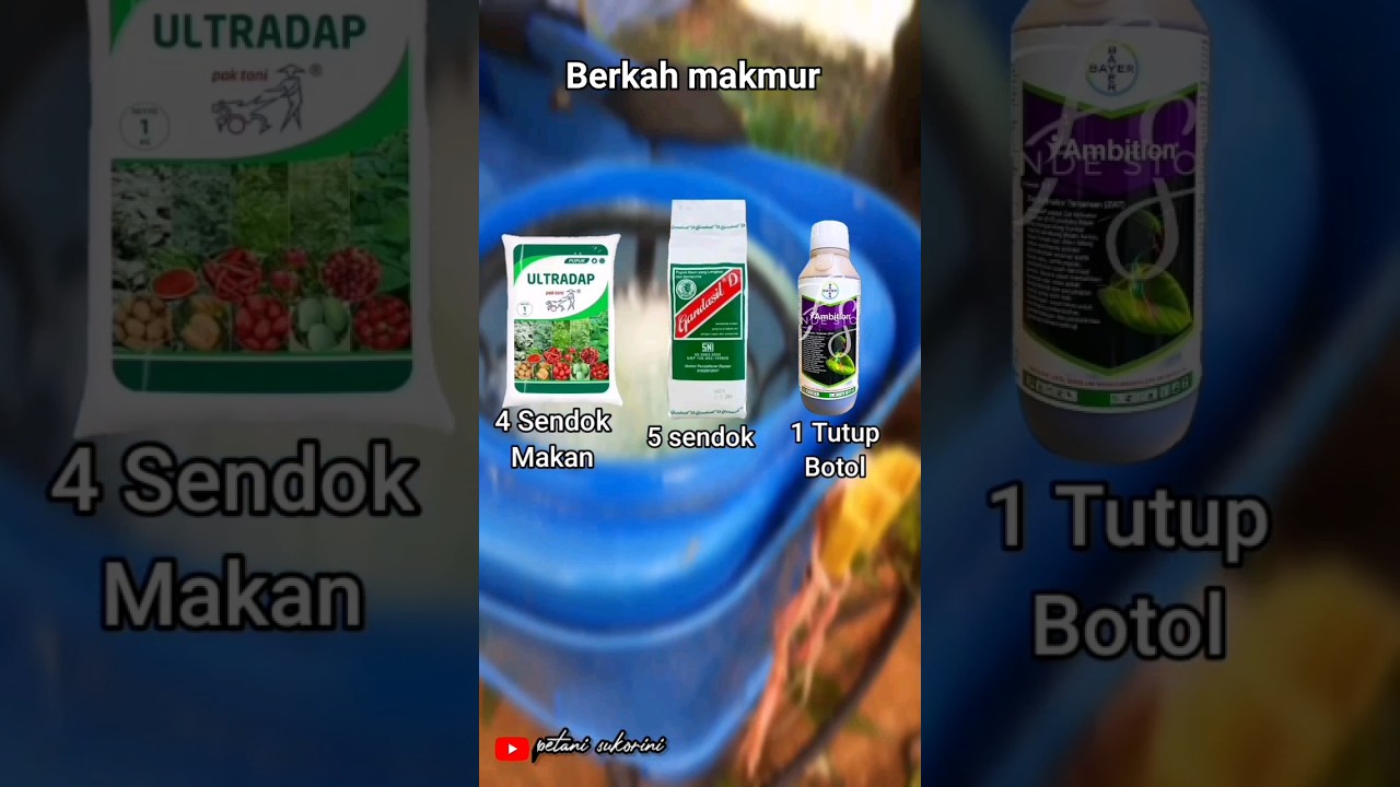 3 pupuk untuk tanaman anti kekeringan #pupuk #petanisukorini #tokopertanian #ambition #ultradap #fyp