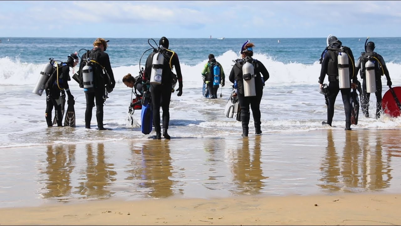 Land & Sea Against Debris