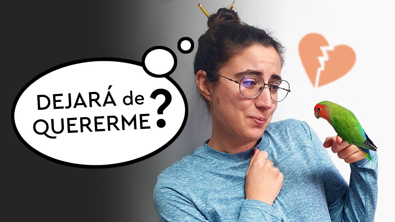 ¿Se puede tener un AGAPORNIS SOLO? ~ respondemos a los MIEDOS más COMUNES 😉💚
