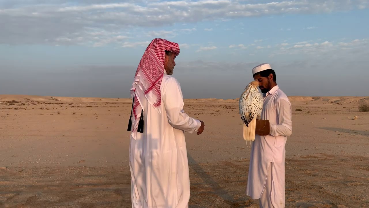 (   نَادْرَةْ الرَاكْدَةْ  ١٧  )