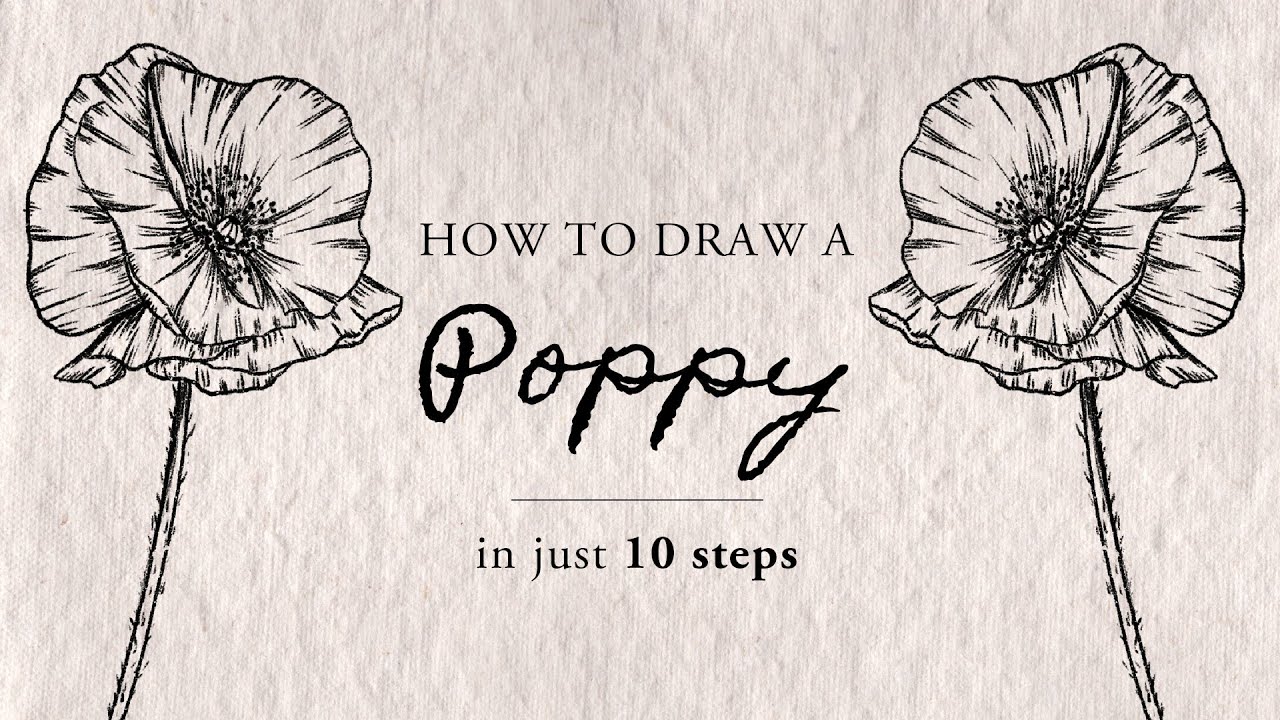 How To Draw A Poppy | Easy To Follow Step By Step, Real Time Tutorial