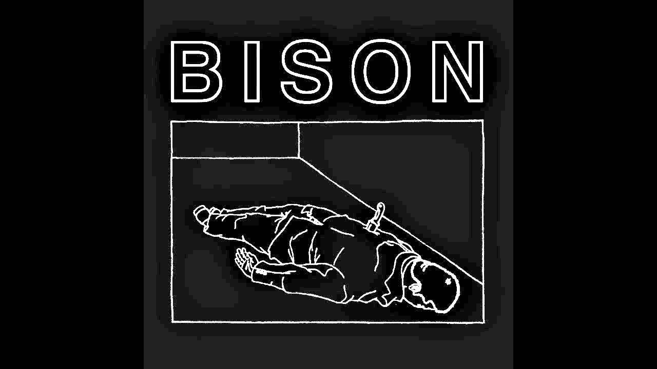Bison 