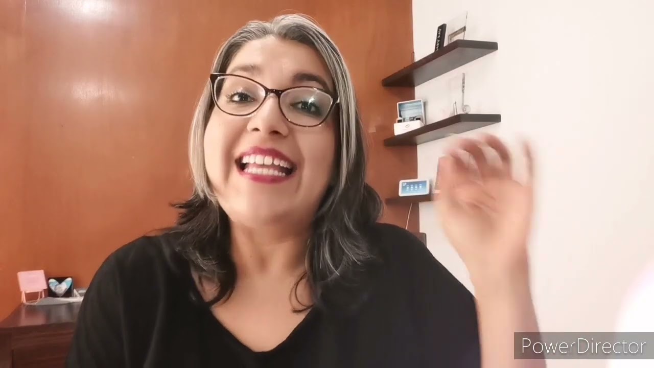 Mi Organización de agenda y Negocio 📝