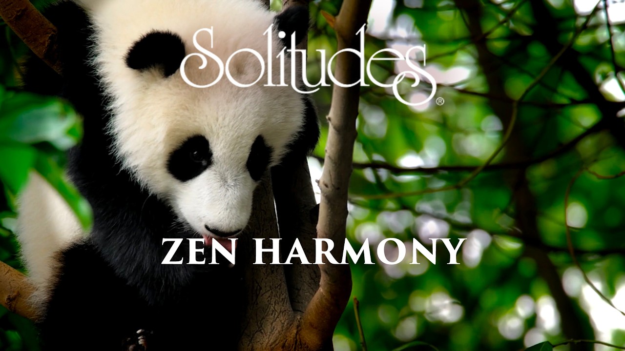 Dan Gibson’s Solitudes - Balance | Zen Harmony: Music for Relaxation