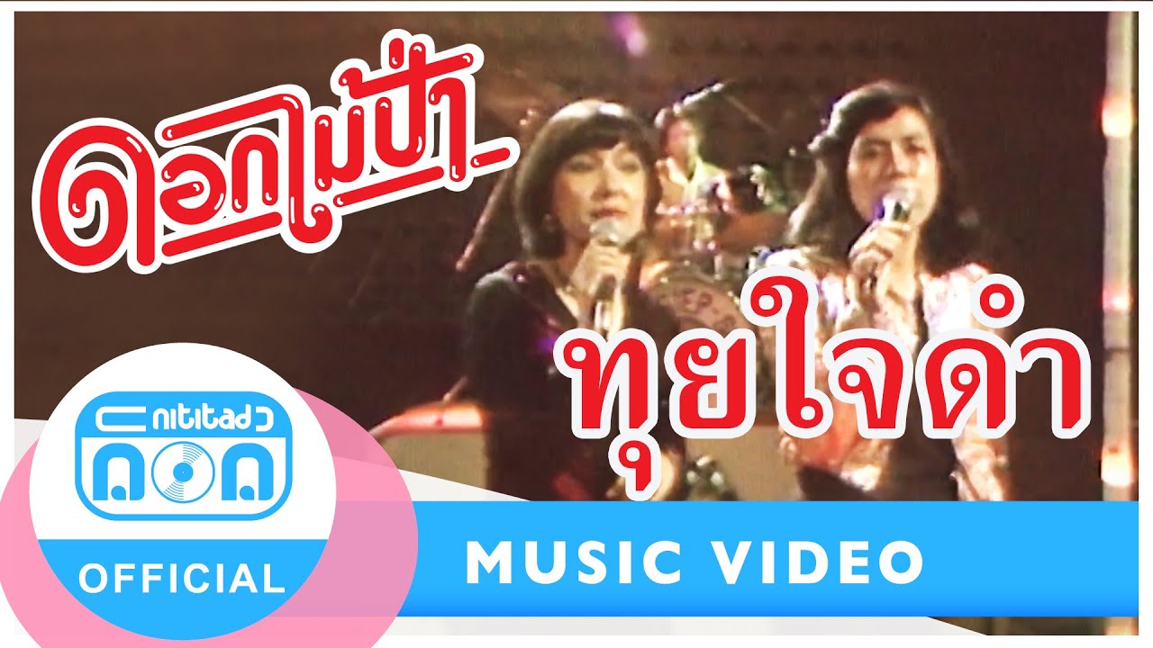 ทุยใจดำ - ดอกไม้ป่า (ภาพในสตูดิโอ)