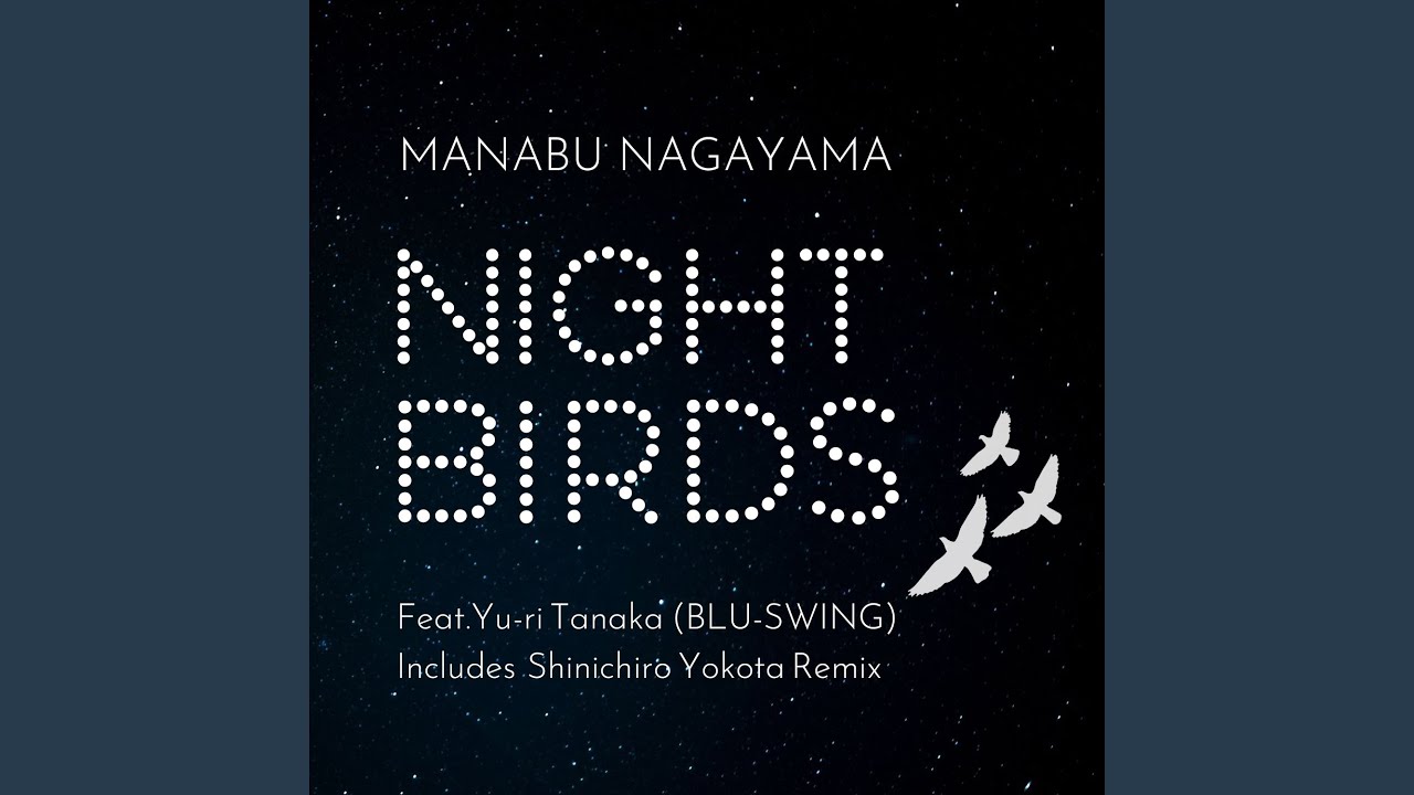 Night Birds (Shinichiro Yokota Remix)