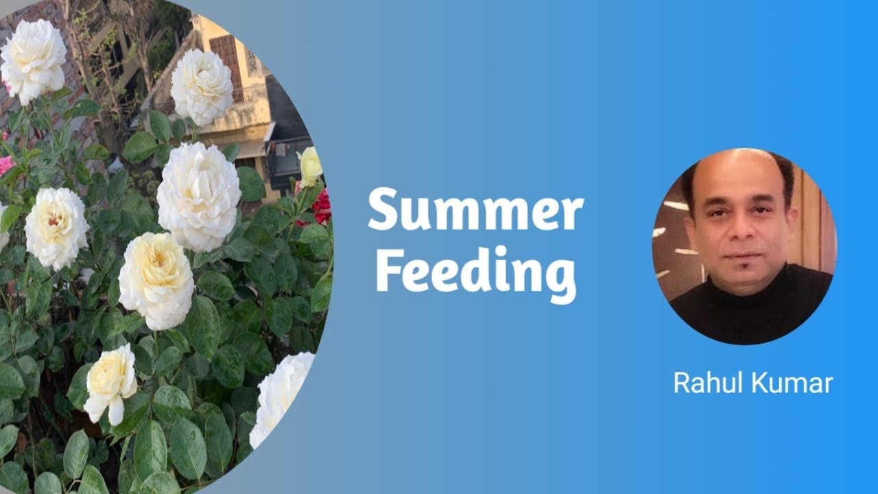 गर्मी में ये फ़ूड देना ज़रूरी है / Must Give these foods in summer for good growth