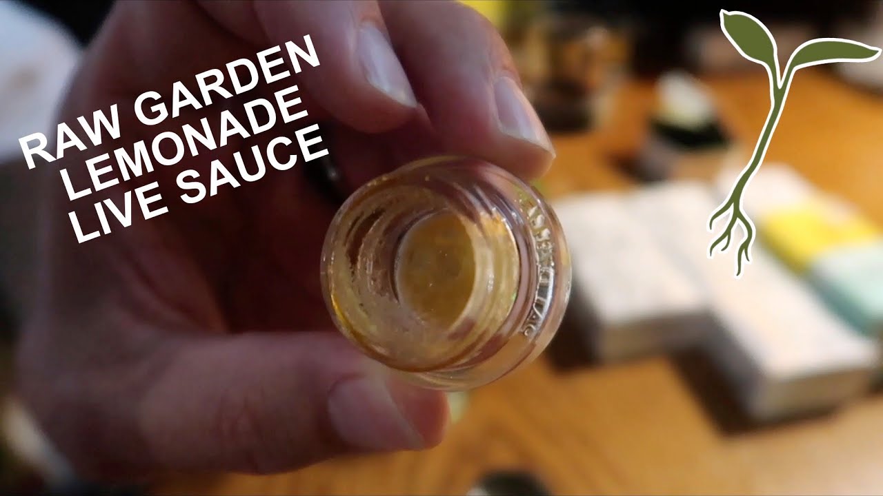 RAW GARDEN LEMONADE LIVE SAUCE | REVIEW |