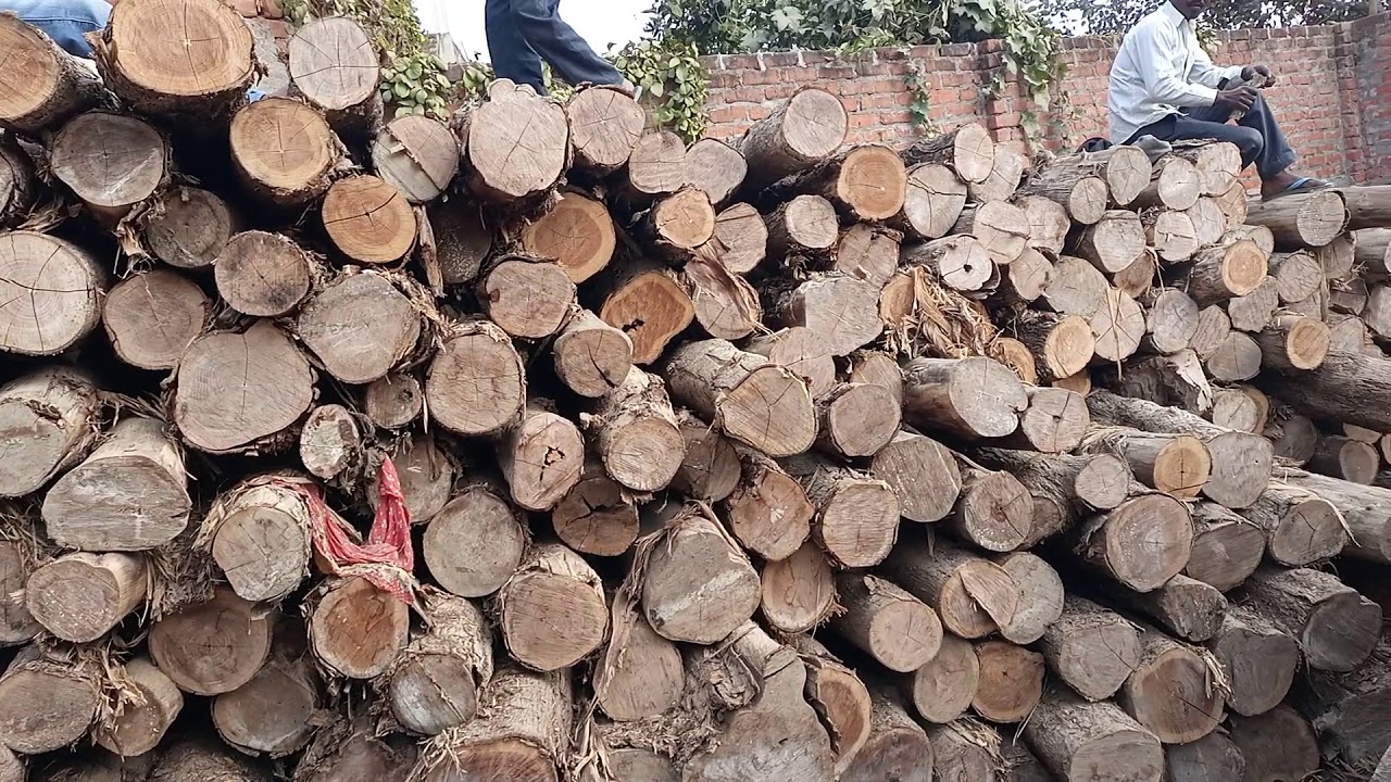Teak Wood UP cheapest Price