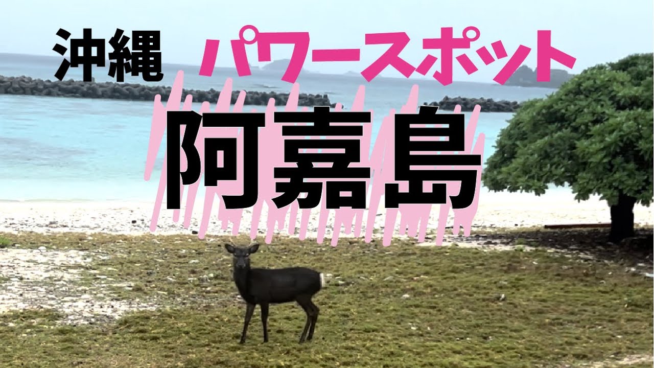 【沖縄 阿嘉島】癒しを求めて弾丸の呑んべえ旅