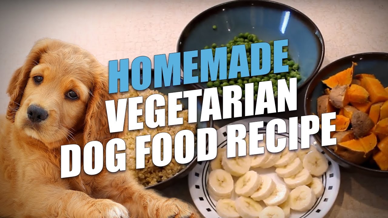 Homemade Vegetarian Dog Food Recipe (Simple to Make)