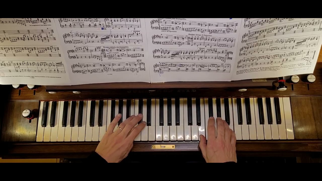 3 Alla Ritornello (Sigfrid Karg-Elert 