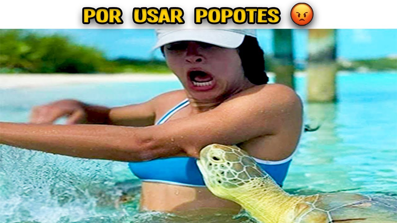 2 HORAS DE LOS MEJORES MEMES DE MAYO DEL 2022