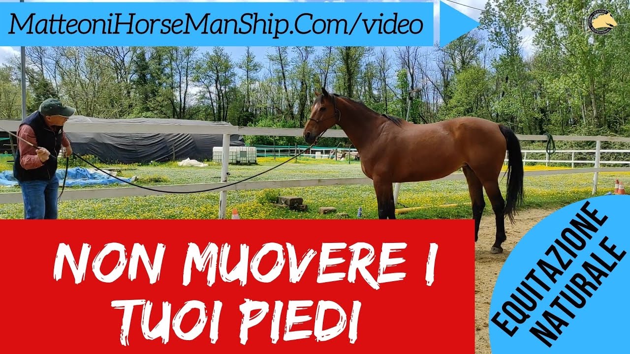 Non muovere i tuoi piedi