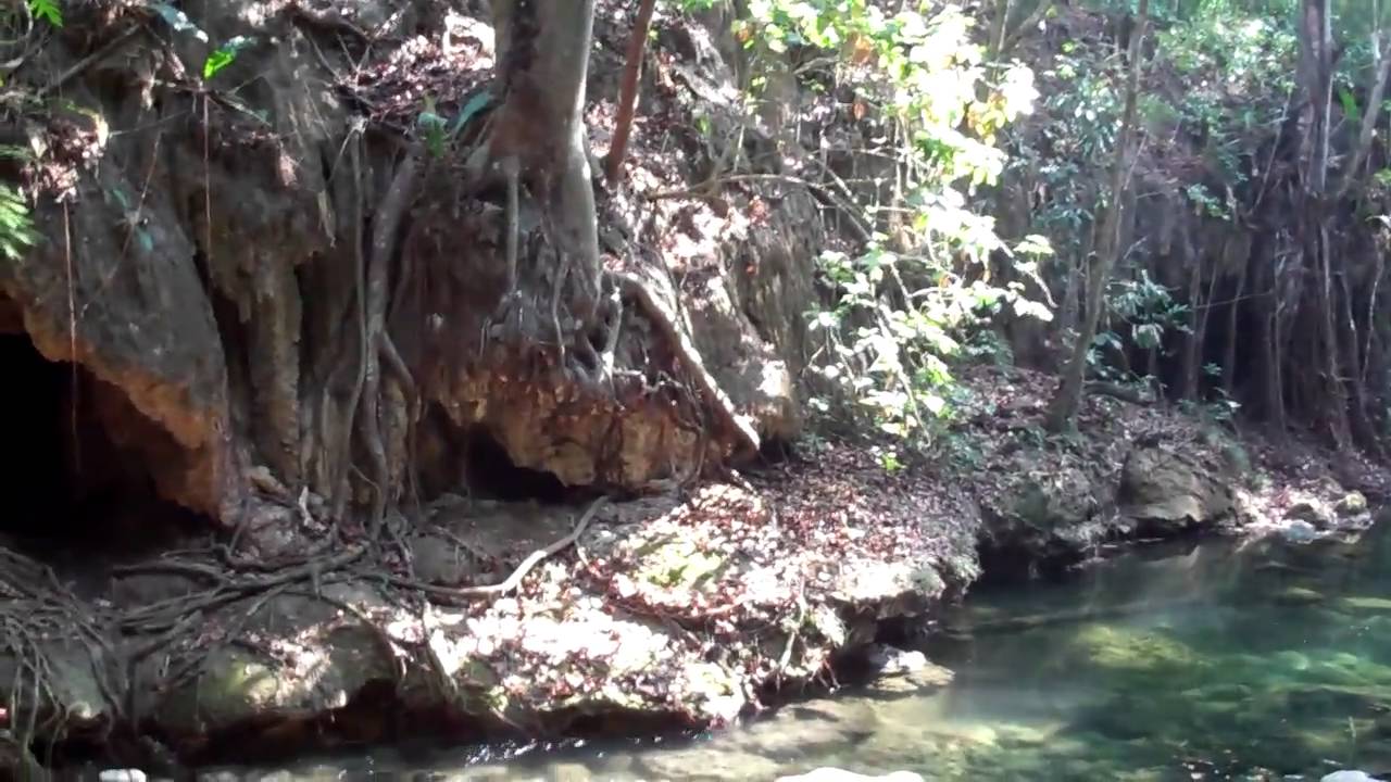 finca paraiso