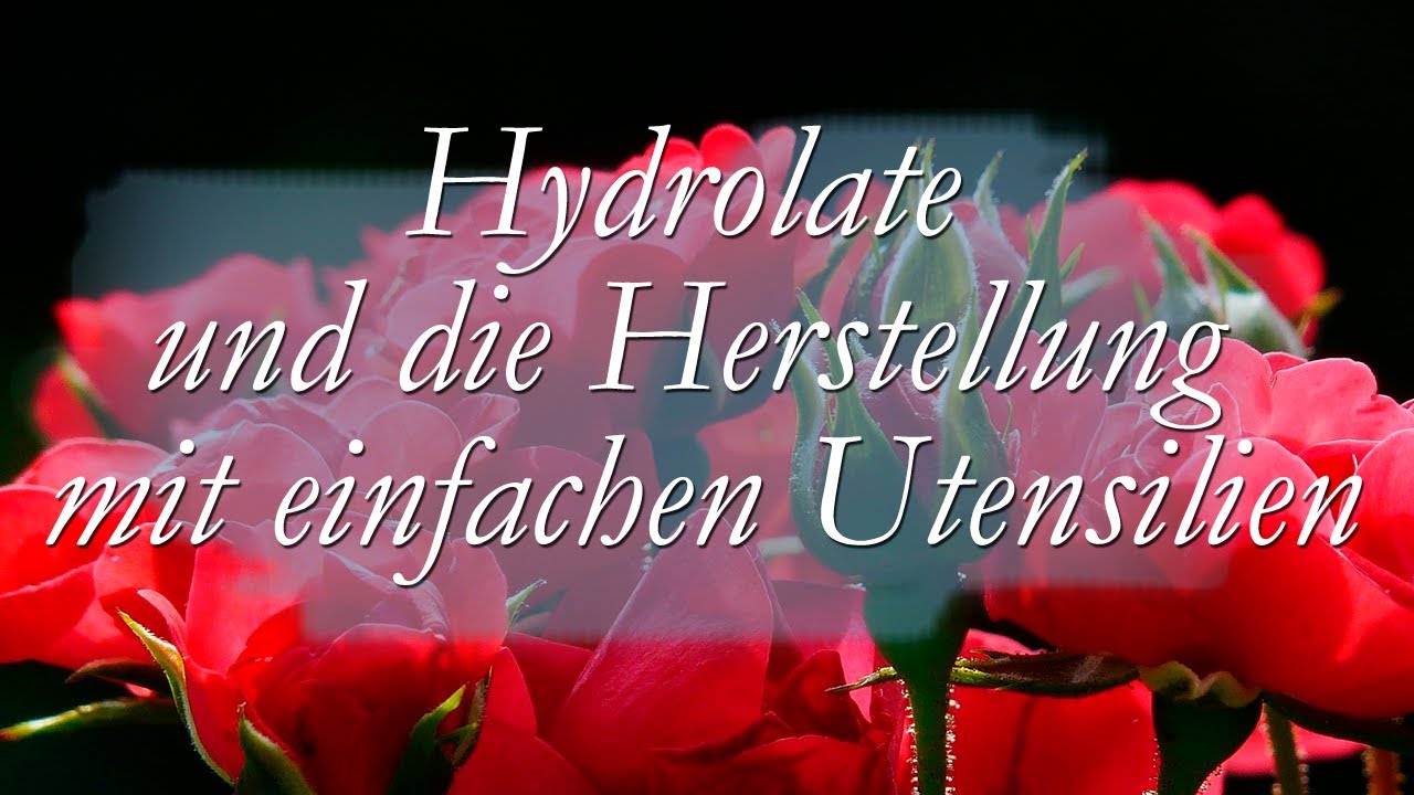 Hydrolate / Wie stellt man ein Hydrolat her? / Hydrolat herstellen ohne Destille