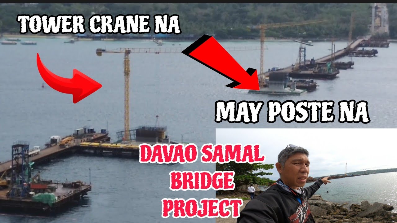 Davao samal bridge project latest update Jan 30 2026