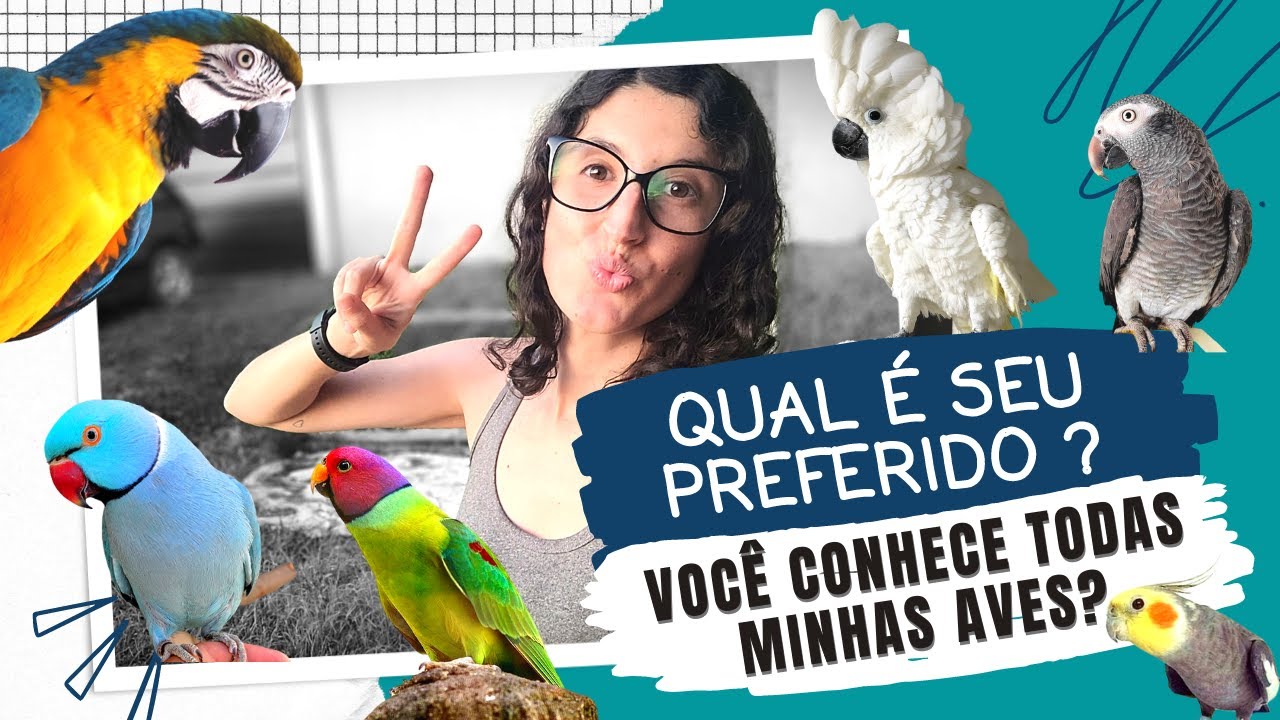 MOSTREI TODAS AS MINHAS AVES - UDP