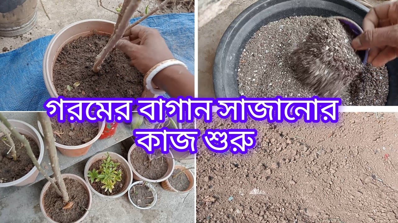 গরমের বাগান সাজানোর কাজ শুরু