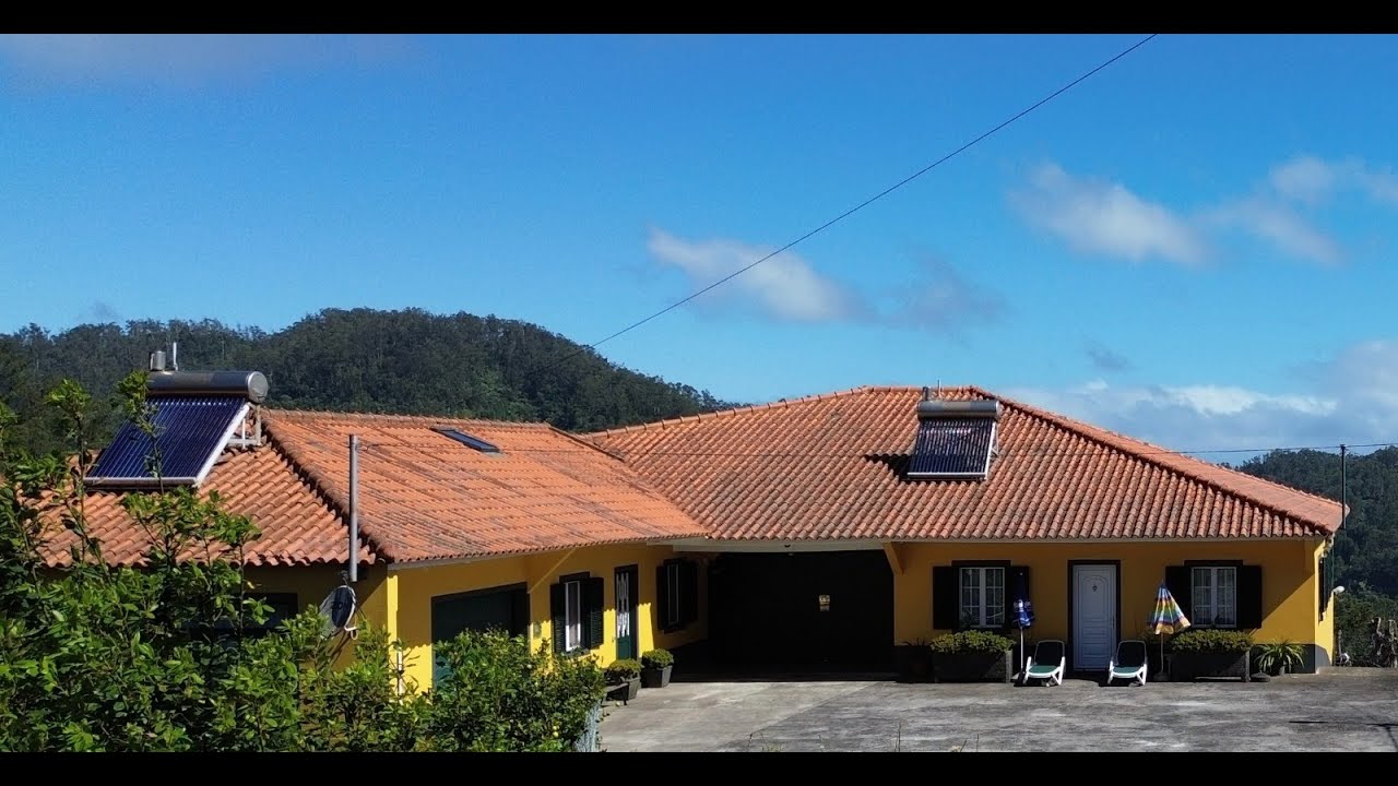 Eco pig farm in Madeira.