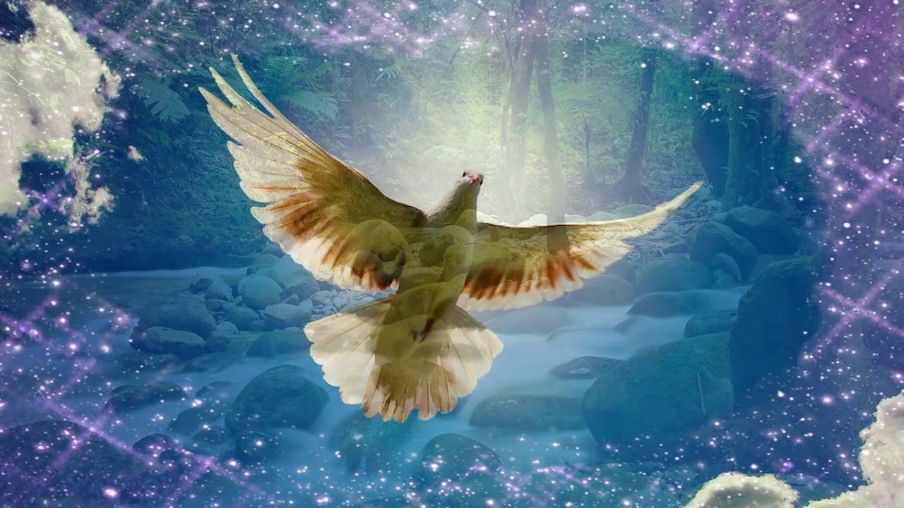 AVE MARIA de NELSON MAESHIRO  (IGREJA DE MARIA KANON-SAMA, NOSSA SENHORA M&Atilde;E DE DEUS)