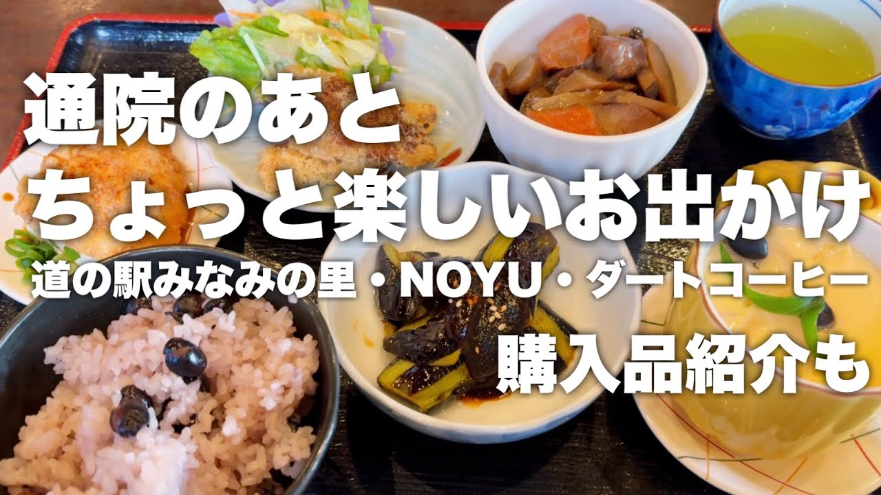 ３連休、１日目！通院からお出かけへ｜道の駅・タルト屋さん・ガレージセール｜買い物購入品紹介と簡単晩ごはん