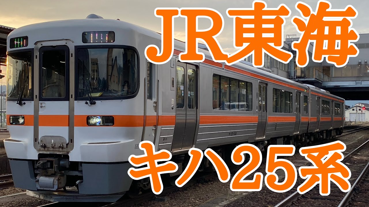 【JR東海】キハ25系に乗ってきた！
