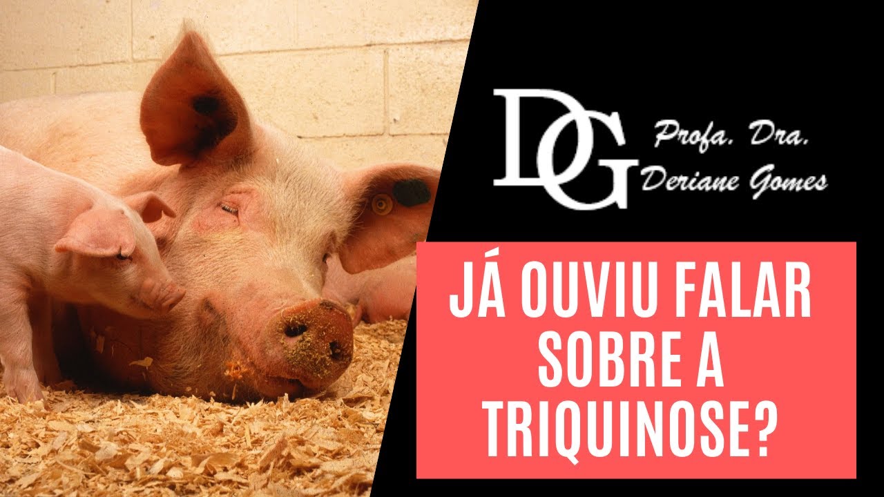 063. Já Ouviu Falar SobreTriquinose?